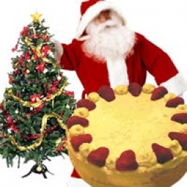 Xmas Tree, Santa And Plum Cake: Send Gifts To India