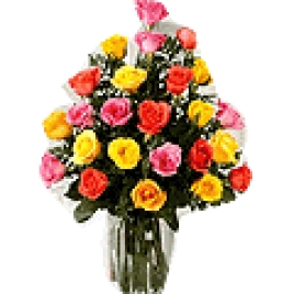24 Mixed Colour Roses Bunch
