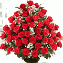 Stunning Arrangement Of 50 Red Roses