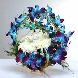 Blue Orchid N White Carnations