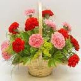 12 Mix Carnations Basket