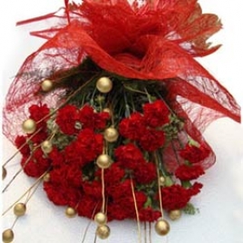 12 Red Carnations With Golden Dry