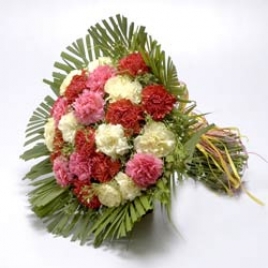15 Mix Carnations Bunch