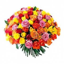 50 Mix Roses Bunch